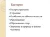 Бактерии. Распространение. Строение