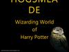 Hogsmeade. Wizarding World of Harry Potter