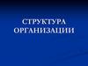 Структура организации