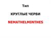 Тип Круглые черви