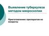Выявление туберкулеза методом микроскопии. Приготовление препаратов из мокроты