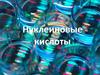 Нуклеиновые кислоты