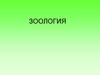 Зоология беспозвоночных