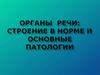 Органы речи: строение в норме и основные патологии