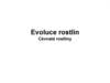 Evoluce rostlin. Cévnaté rostliny