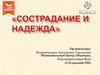 Сострадание и надежда. Муниципальный центр «Надежда», Благотворительный фонд «Сострадание НН»