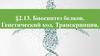 Биосинтез белков. Генетический код. Транскрипция