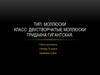 Тип: моллюски. Класс: двустворчатые моллюски. Тридакна гигантская