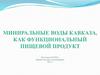 Минеральные воды Кавказа как функциональный пищевой продукт
