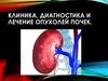 Клиника, диагностика и лечение опухолей почек
