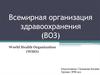 Всемирная организация здравоохранения (ВОЗ)