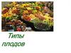 Типы плодов