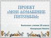 Проект «Мои домашние питомцы»