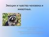 Эмоции и чувства человека и животных