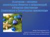 Выставка-конкурс новогодних букетов и композиций «Зимняя фантазия». Номинация «Новогодняя красавица»