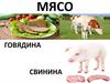 Мясо и мясные продукты