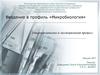 Введение в профиль «Микробиология»