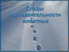 Следы жизнедеятельности животных