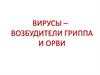 Вирусы – возбудители гриппа и ОРВИ