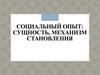 Социальный опыт: сущность, механизм становления