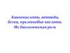 Аминокислоты, пептиды, белки, нуклеиновые кислоты. Их биологическая роль