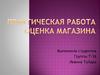 Практическая работа. Оценка магазина