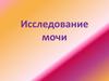 Исследование мочи