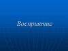 Восприятие. Свойства восприятия