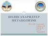 Полисахаридтер метаболизмі