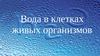 Вода в клетках живых организмов