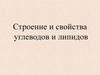 Строение и свойства углеводов и липидов