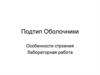 Подтип Оболочники. Особенности строения. Лабораторная работа