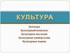 Культура. Культурный комплекс. Культурное наследие. Культурные универсалии. Культурные нормы
