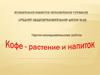 Кофе. Описание растения