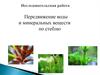 Передвижение воды и минеральных веществ по стеблю
