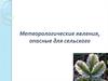 Метеорологические явления, опасные для сельского хозяйства