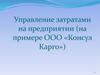Управление затратами на предприятии (на примере ООО «Консул Карго»)