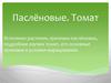 Паслёновые. Томат