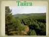 Тайга. Флора и фауна
