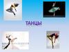 Танцы. Характеристика видов танцев