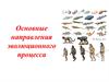 Основные направления эволюционного процесса
