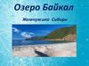 Озеро Байкал - жемчужина Сибири
