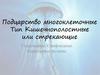 Тип кишечнополостные или стрекающие Гидроидные. Сцифоидные. Коралловые полипы. (Тема 8)