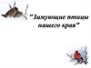 Зимующие птицы