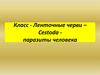 Класс Ленточные черви (Cestoda) -  паразиты человека