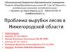 Проблема вырубки лесов в Нижегородской области