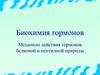 Биохимия гормонов. Механизм действия гормонов белковой и пептидной природы
