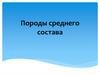Породы среднего состава