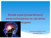 Вплив електромагнітного випромінювання на організм людини