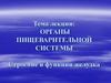 Органы пищеварительной системы. Строение и функции желудка